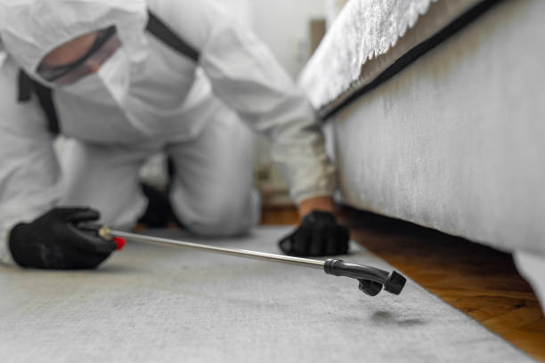 Professional Pest Control technician working in Florence, MT