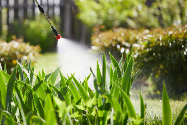 24/7 Emergency Pest Control experts in Florence, MT